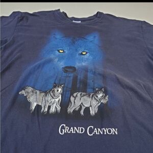 L GRAND CANYON NIGHT WOLF PACK GLOW EYES BLUE TSHIRT large Vintage Wash
